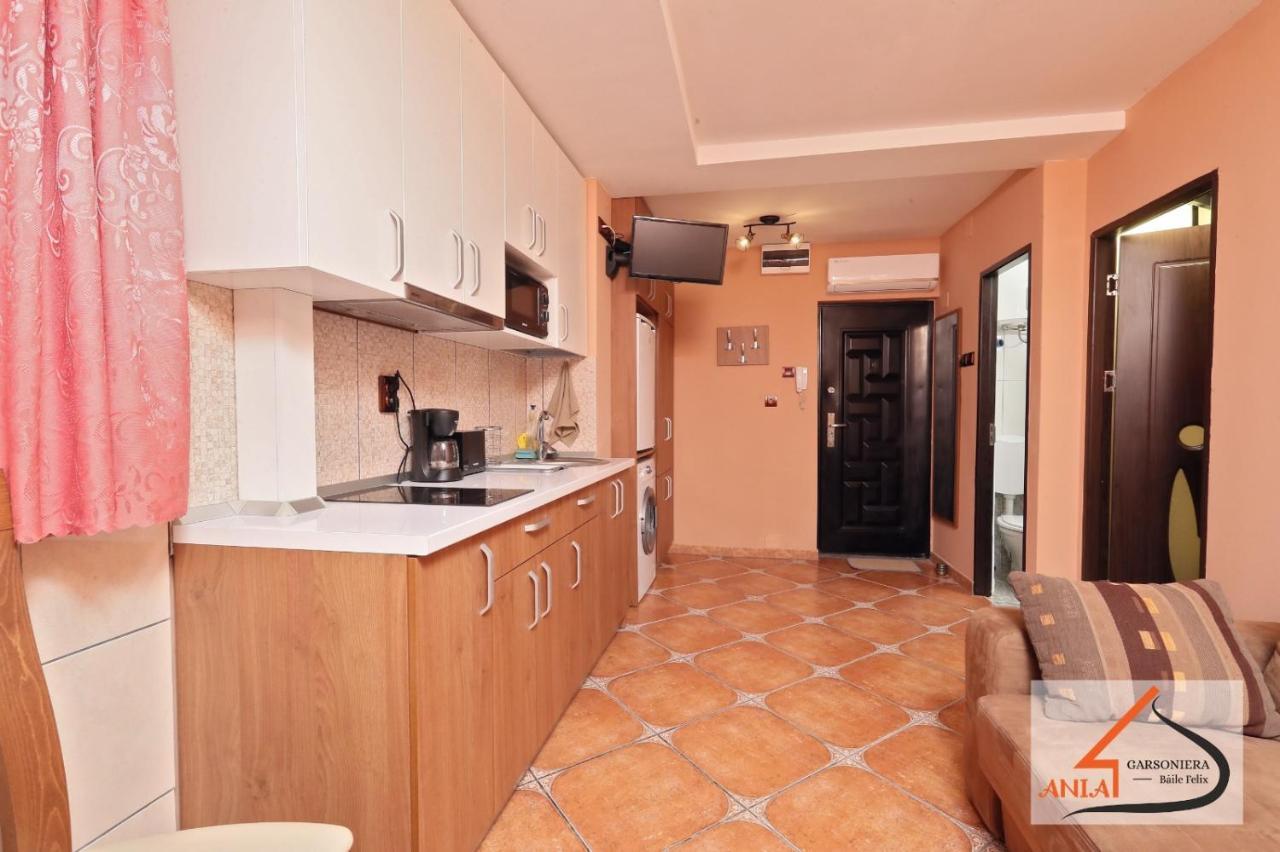 Appartement Garsoniera Ania Băile Felix Extérieur photo