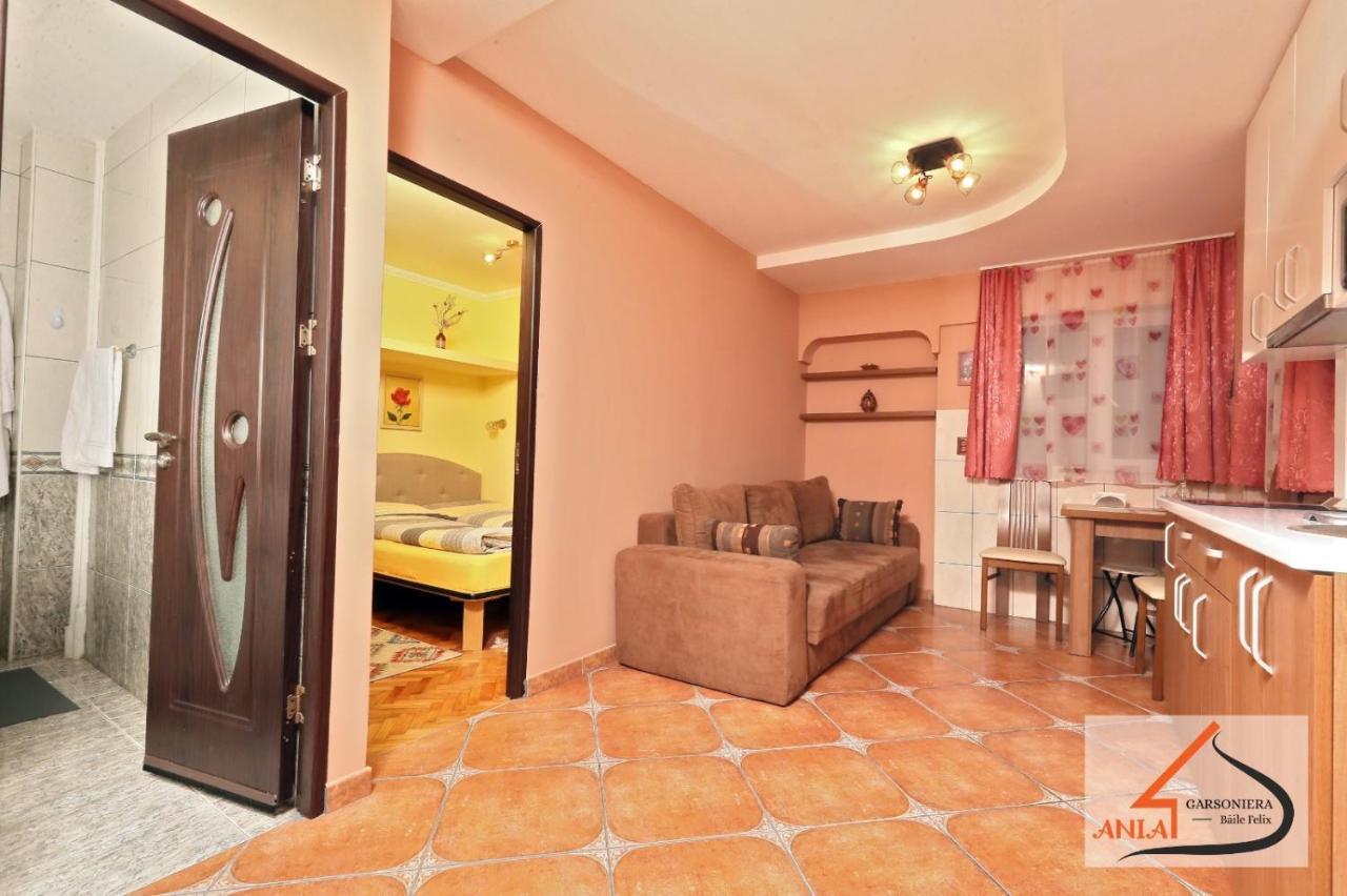 Appartement Garsoniera Ania Băile Felix Extérieur photo